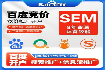 行业领先企业的SEM运营策略案例解析